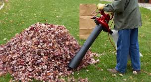 Whenever possible, clear leaves before rainfall or else wait a day or two to. How To Select The Right Leaf Blower Vaccum For You Toro Yard Care Blog