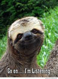 Go On Im Listening Sloth Meme Sloth Cute Animals
