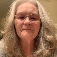 Shark vacuum has no light