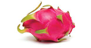 Dragon fruit (plural dragon fruits). Want To Grow This Delicious Mysterious Fruit In Pot Its Dragon Fruit Plant Talk Nurserylive Wikipedia