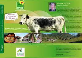 Un candidat de l'émission de tf1 retrouvé mort. Calameo Bienvenue A La Ferme Dans Les Vosges Guide 2011