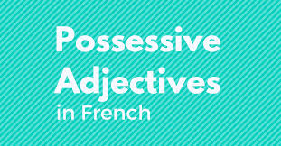 French Possessive Adjectives Made Easy Talk In French