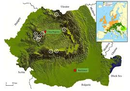 Sunt şi eu tzanca uraganu şi mi am făcut botezul în casă video. Cuvinte Cheie P