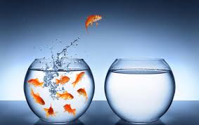 Millions of americans can remember exactly where they were when they heard the famous words of the first man on the moon. Self Improvement Quotes And Quotations For Personal Growth