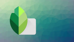 كيفية وضع علامة مائية على الصور باستخدام Snapseed على Android و Ios