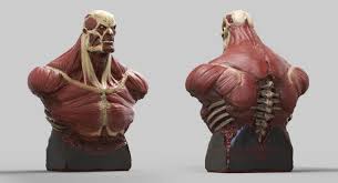 Pin On Attack On Titan