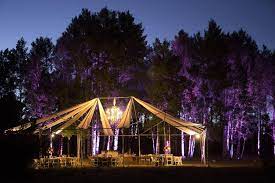 Outdoor Forest Wedding Venue In Flagstaff Arizona Enchanted Forest Wedding Theme Flags Forest Wedding Venue Forest Wedding Enchanted Forest Wedding Theme