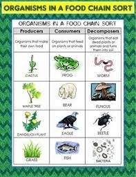The role of a decomposer is to decompose or break down dead matter in the environment. Pin On Environmental Science