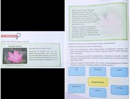 Kunci jawaban kelas 5 tema 1 sub tema 3. Tema 2 Kelas 6 Halaman 6tolong Di Jawab Ya Yang Apa Mengapa Siapa Bagaimana Kapan Dan Di Mana Brainly Co Id