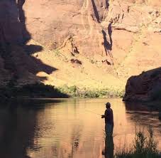 Grappling with profound loss has never really been my strong suit and I  have spent the last few days avoiding verbalizing my feelings, so please  bear with me. We lost a great