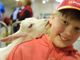 Reeling in the Show years