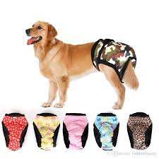 Satin Al Pet Kopek Bezi Pamuk Dayanikli Yikanabilir Menstruasyon Fizyolojik Pantolon Kullanimlik Kadin Erkek Kopek Bezi 10 Renkler Tl20 04 Tr Dhgate Com