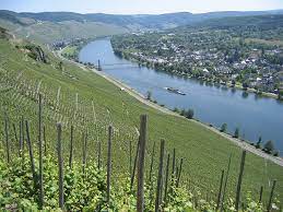 Check spelling or type a new query. Riesling S Rise What To Know About This Great White Wine