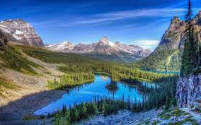 If you have your own one, just create an account on the website and upload a picture. Nature Mountain Forest Landscape Fog Lake Ultrahd 4k Wallpaper Wallpapers Hd Desktop And Mobile Backgrounds
