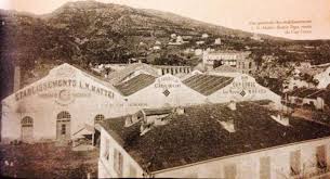 1930 Vue Generale Des Etablissements L N Mattei Bastia Toga Route Du Cap Avec Images Bastia Photos Anciennes Vieilles Cartes Postales
