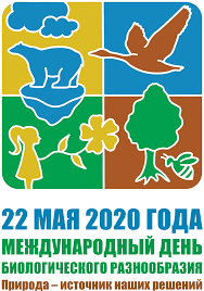 22 мая 2021 года все православные будут отмечать праздник день святого николая. Zavtra 22 Maya Ves Mir Otmechaet Mezhdunarodnyj Den Biologicheskogo Raznoobraziya Osnovnaya Cel Kotorogo Zaklyuchaetsya V Obrashenii Vnimaniya Obshestvennosti K Probleme Stremitelnogo Sokrasheniya Mnogoobraziya Form Zhizni V Osnovnom Vposledstvii Aktivnoj