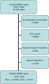 Flow Chart Of Inclusion Of Cases Of Nonmelanoma Skin Cancer