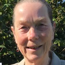 Horsham local election: The 7 candidates in Henfield