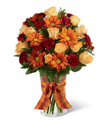 Check spelling or type a new query. Orange Get Well Flowers