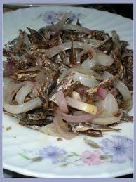 Maybe you would like to learn more about one of these? Anak Ikan Kembong Garing Tumis Bawang Myresipi