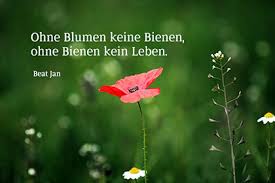 Bilderspruche Blumenbilder Mit Zitaten Und Kurzen Weisheiten
