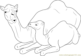 Home/animal coloring pages/camel coloring page to print. Baby And Mother Camel Sitting Coloring Page For Kids Free Camel Printable Coloring Pages Online For Kids Coloringpages101 Com Coloring Pages For Kids