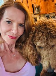 Introduction to Stella, a Beabull, Beagle, or Bulldog mix