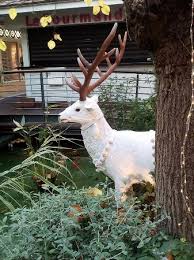 Frequently asked questions about polygone beziers. Deco Noel Photo De Polygone Beziers Beziers Tripadvisor