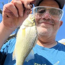 ᐅ Huron River fishing reports🎣• Houghton, MI (United States) fishing