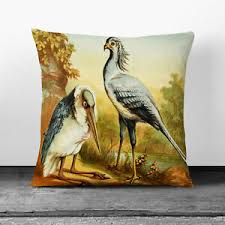 How easy it is to take for granted the small things we enjoy every day. Natural History Marabou Secretary Bird 1 X Soft Cushion And Cover Sofa Pillow Ebay