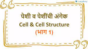 Let us look at animal cell parts and functions in the title animal cell parts and functions, the word part pertains to organelles; Mpsc Class 8 à¤ª à¤¶ à¤µ à¤ª à¤¶ à¤š à¤… à¤— à¤• à¤­ à¤— 1 Cell Cell Structure Offered By Unacademy