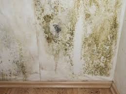 Exemple De Mur Envahi Par Les Moisissures Enlever Les Moisissures Huile Tea Tree Moisissure Mur