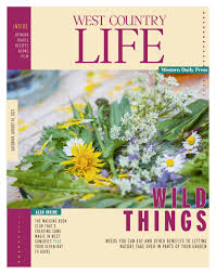 Create a stylish kitchen with green '40s, '50s, and '60s glassware. Western Daily Press 2021 08 14