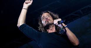 I M Gonna Break My Rusty Cage And Run Pin De Barbara Tonani Em Lollapalooza 2014 Chris Cornell Grunge Portas