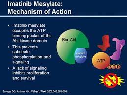 Gleevec Mechanism Of Action Yahoo Image Search Results Prevention Image Search Action