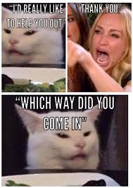 Woman Screaming At Cat Meme Woman And Cat Meme Funny Cat Memes Silly Jokes Cat Memes Here are the best woman yelling at cat memes cat meme funny cat memes