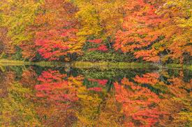 Dixon's autumn harvest winery offers the same great wine we all love, in addition to its new moscato blend. Autumn In Japan 7 Spots To See Japan S Gorgeous Autumn Scenery The Gate Japan Travel Magazine Find Tourism Travel Info