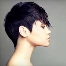 Eddy James Salon in Studio City