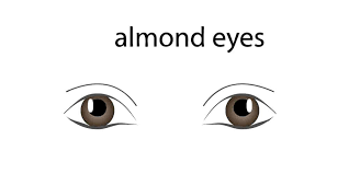 Also known as bedroom eyes, you this eye shape first needs a medium, natural color all over the lid to enhance the crease, and a darker powder eyeliner to open up the shape and draw the line up. 8 Different Types Of Eye Shapes