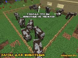 These mobs can be a good. What Cows Eat In Minecraft How To Tame A Cow In Minecraft We Become Farmers Why Do I Need To Breed Animals In Minecraft