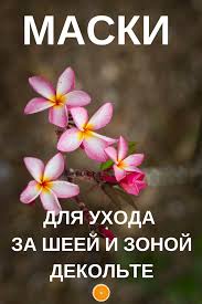 маски для шеи и декольте от морщин в домашних условиях Maski Dlya Shei I Dekolte Ot Morshin Blog Olgi Mesheryakovoj Maski Lico Krasota