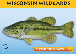 what fish is that types of game fish in wisconsin part 2