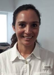 Preocupa al Comité para la Protección de la Tortuga Marina, que el arribo  masivo de sargazo pudiera ahuyentar a los quelonios