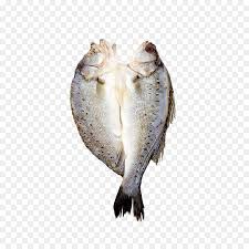 110+ kumpulan gambar ikan berbagai jenis yang populer. Ikan Produk Ikan Ikan Asin Gambar Png