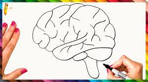 I'll teach you how to draw animals, cartoons and easy things for kids and beginners. How To Draw The Human Brain Step By Step Brain Drawing Easy Youtube
