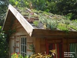 Basic Container Design Green Roof Green Roof Garden Roof Garden Rooftop Garden