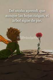 El Principito | Facebook