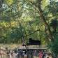 IN A LANDSCAPE: Mount Pisgah Arboretum