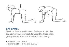 It is best to talk to a doctor before starting a new exercise or according to the university health services at berkley, ca, cat and camel stretches can reduce tightness and pain in the lower back. Fitness Friday How To Maintain A Healthy Back Legacy Spine Neurological Specialists