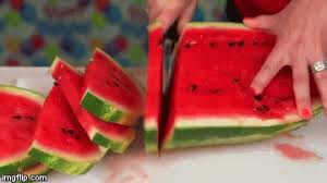 Live kidhalang eko kondho prisdianto di kediaman bpk. Bee Girl Blind Melon Bitch Im Fabulous Gif On Gifer By Kerin